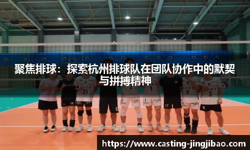 聚焦排球：探索杭州排球队在团队协作中的默契与拼搏精神