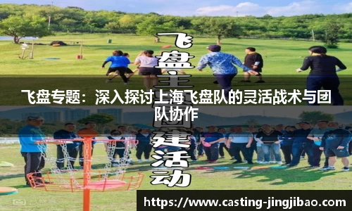 飞盘专题：深入探讨上海飞盘队的灵活战术与团队协作